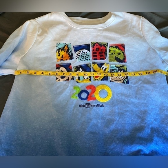 Walt Disney World 2020 Pullover sweatshirt XXL - Mickey Donald Pluto Goofy - EUC - Picture 4 of 5